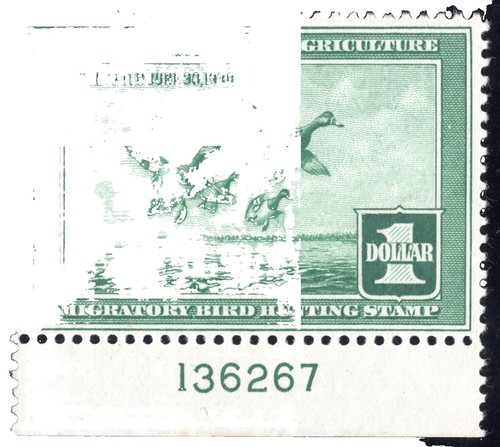 Timbre MNH Arkansas 2012 - Canard D'État - Non-résident Rare Valeur 35 - Collection USA