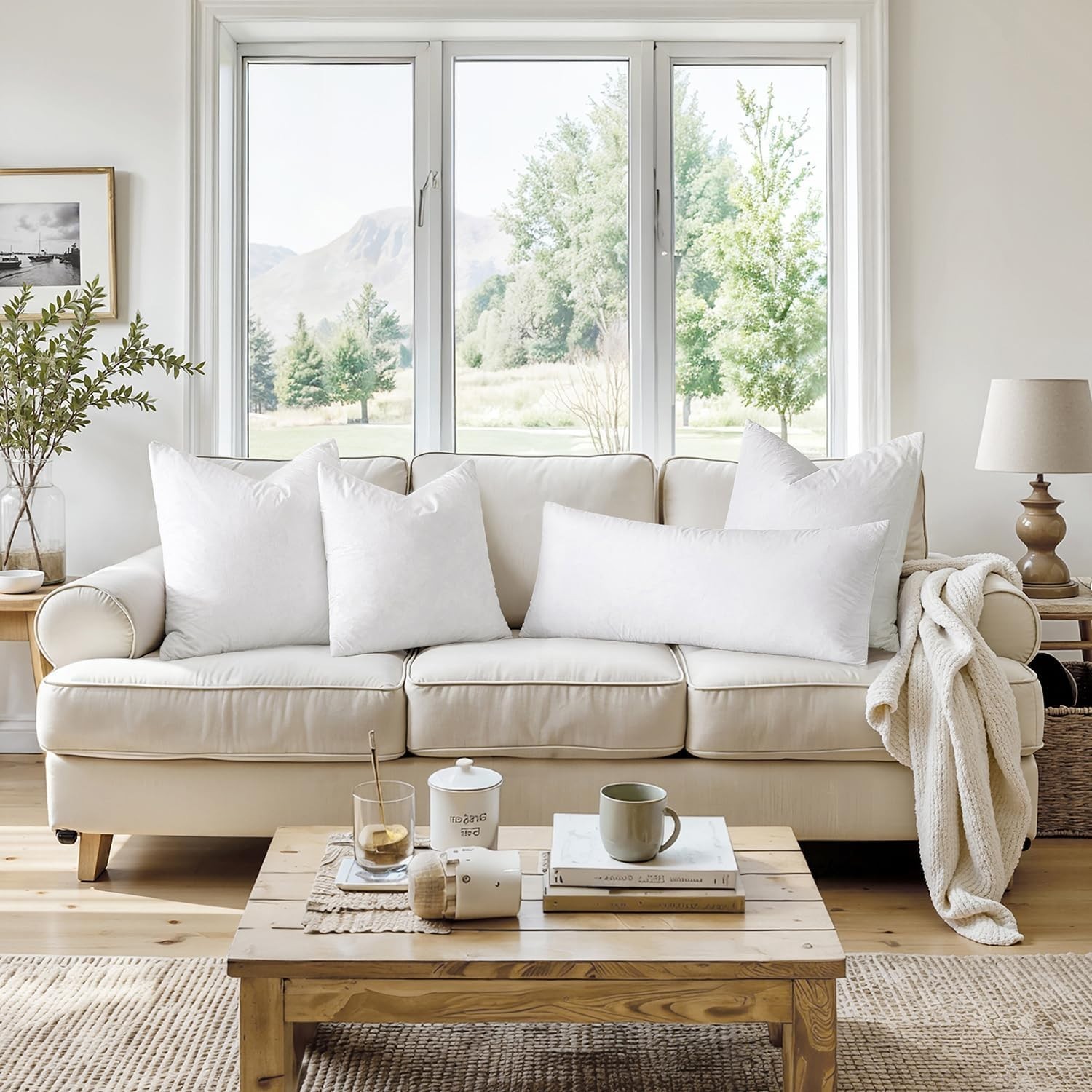 20x20 White Feather Throw Pillow Inserts, Pack of 4