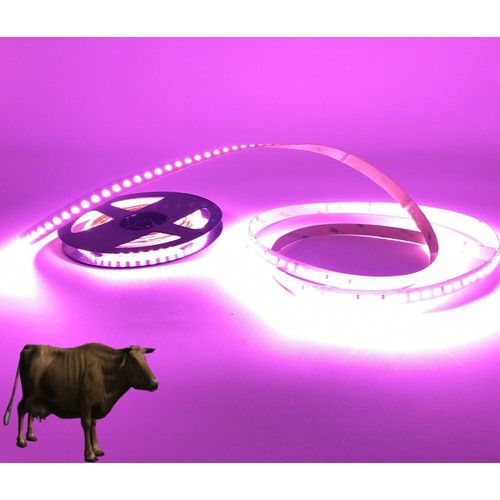 STRISCIA LED ROSA PER CARNE MACELLERIA 5MT 12V IP20/IP67 - ROSA CHIARO E SCURO - Imagen 3 de 3