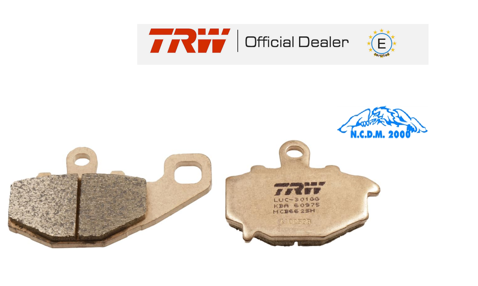 Plaquette de Frein TRW Synt Arrière Kawasaki 1000 Z ABS 2018 2019 2020
