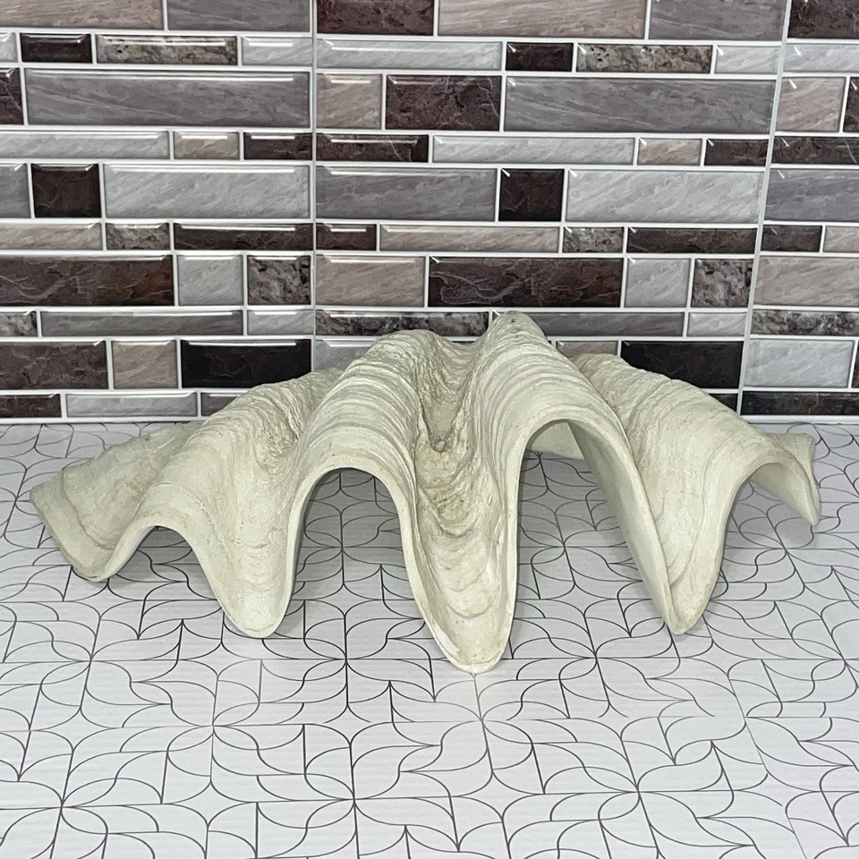 Giant Cast Clam Shell Tridacna Gigas Sea Shell 19.5”x10.5”x5” Weighs 4.4 Lbs EUC - Image 4 of 4