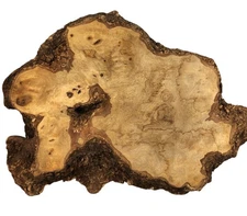 Natural Live Edge Hardwood Slab  Unique Grain Pattern  DIY Clock Resin Art Piece