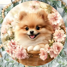 Signage, adorable Pomeranian in a flower basket, Tin Metal Signs Home D cor