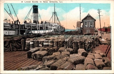 Levee Scene New Orleans Louisiana Vintage Postcard Cotton Trade Harbor