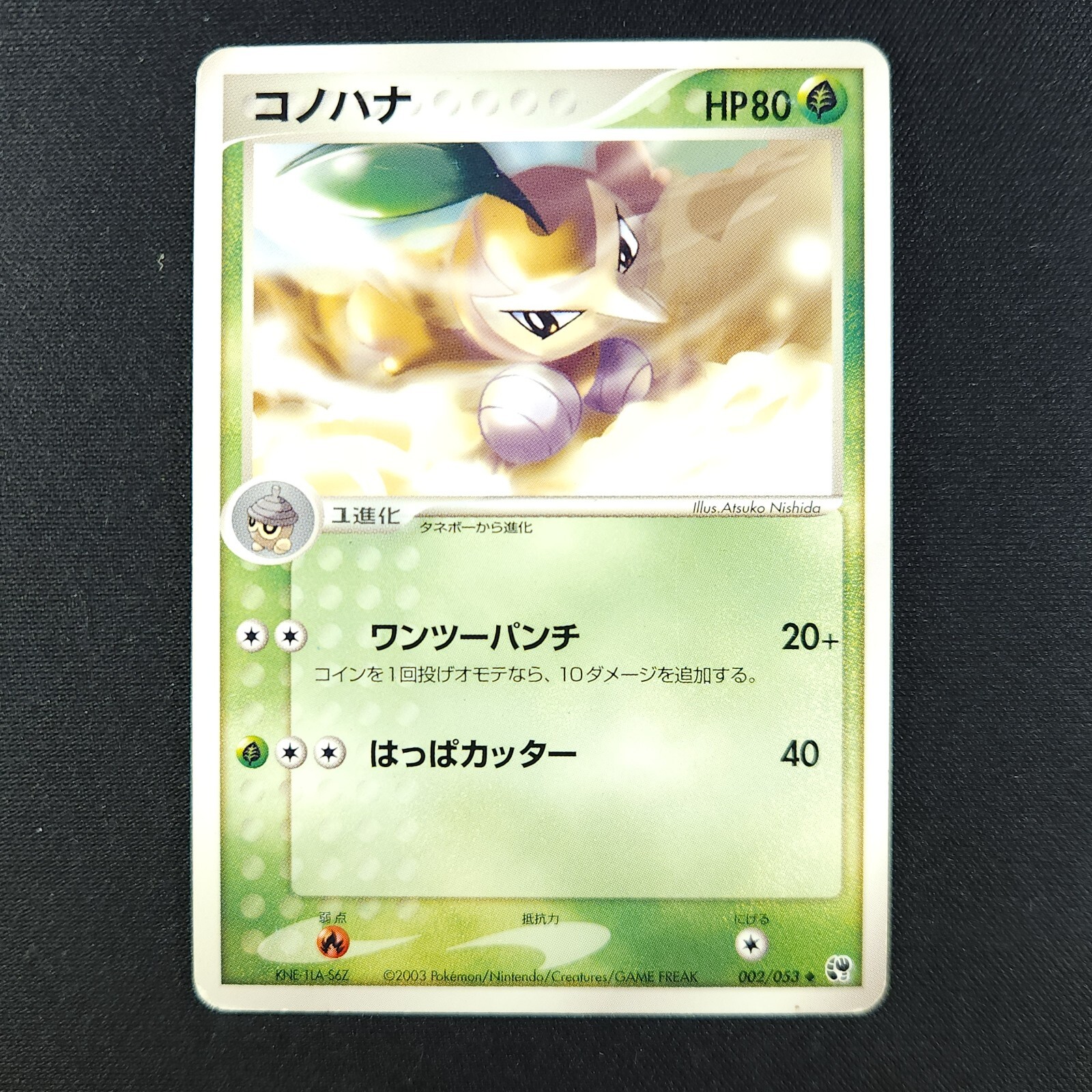 Nuzleaf 002/053 - Miracle of the Desert - Pokemon Card
