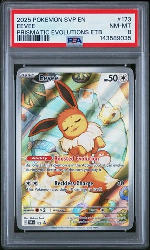 2025 POKEMON SVP EN-SV BLACK STAR PROMO #173 EEVEE PSA 8