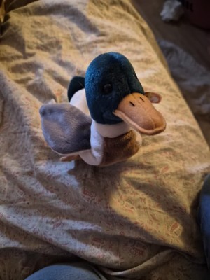 Ty Jake the Mallard Duck Plush Toy