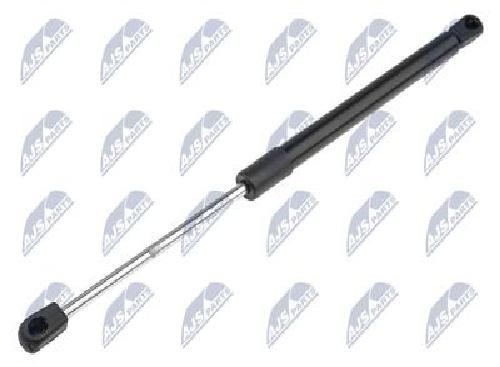 Fits NTY AE-BM-075 HOOD GAS SPRING - Image 6