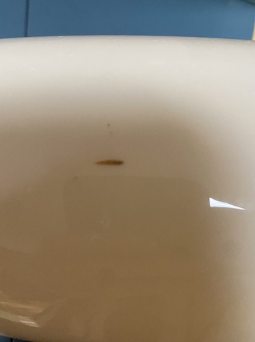 ANTICO VASO VITTORIANO LATTE VETRO OPALINO DIPINTO A MANO FIORI E SCENA ALTO 26 cm - Foto 14 di 15