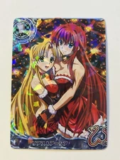 Sexy Group High School DxD Anime Doujin Waifu Art Card R06