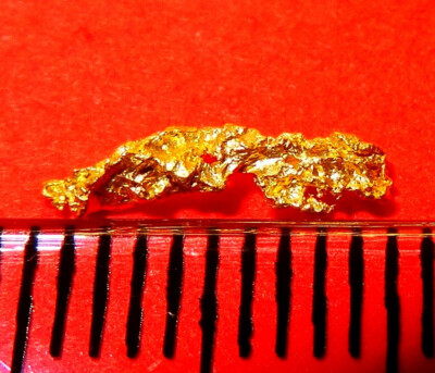 XXL GOLDNUGGET 9,9 mm - Goldnuggets Nugget Barren Gold Nuggets Münze Geschenk