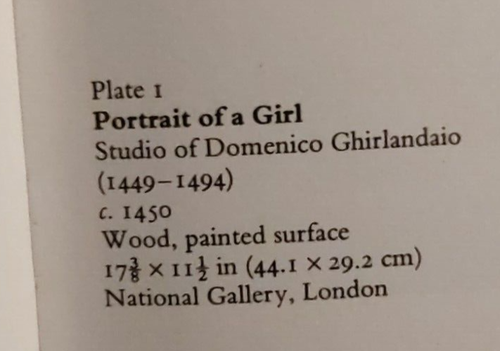 Michelangelo and his art, John Furse HB DJ - Picture 17 of 23