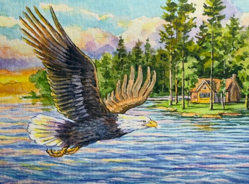 Watercolor Painting Bald Eagle Bird Lake Forest Nature ACEO Art No.238