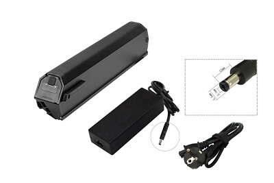 48V 14,5Ah/696Wh Akku für Proxy Cycle Fleuron / Fleuron 2.0 mit Ladegerät