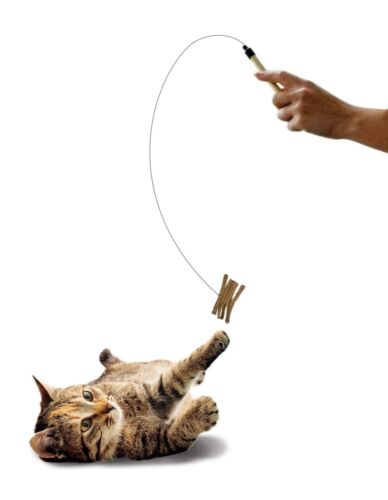 Spot Cat Prancer Teaser Wand Assorted Catnip Cat Toy, 44 in - Picture 5 of 8