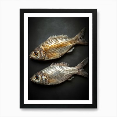 Zwei Fische auf schwarzem Hintergrund Kunst Gerahmtes Wandbild Poster Leinwanddruck Bild