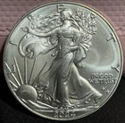 2024 American Silver Eagle with Star Privy 1 oz .999 Silver