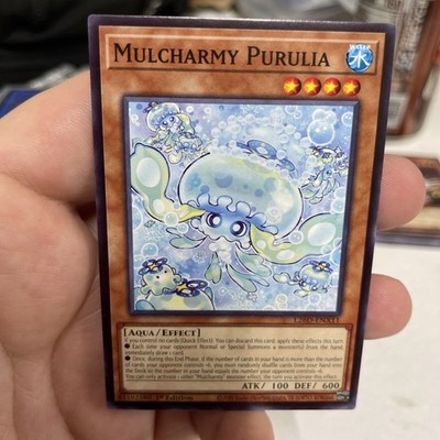 Mulcharmy Purulia L26D-ENX11 Common 1st Edition Near Mint +Bonus FREE SHIPPING!