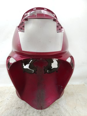 FRONTSCHILD FÜR APRILIA LEONARDO 250 VON 2001 (E51179)