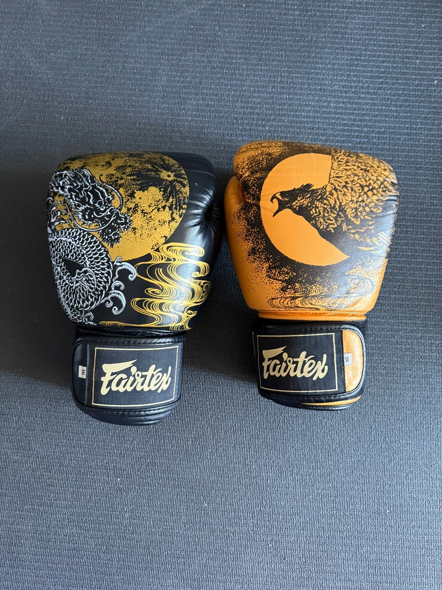 Fairtex 16 oz. Weight Boxing Gloves for sale | eBay