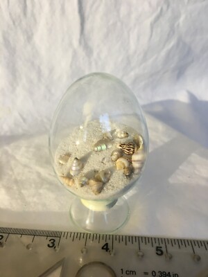 Beautiful & Unusual! White Sand & Shells in clear egg. Shake to change shells.