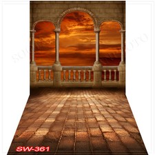 River 10'x20'Computer/Digital Vinyl Scenic Photo Backdrop Background SW361B88