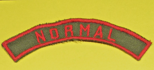 Normaler khaki & roter Gemeinschaftsstreifen KRS Pfadfinder von Amerika BSA