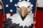 Bear and Eagle Book Ends — photo 7
