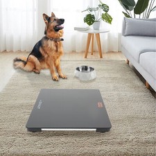 Pet Store Hospital Scale Large Dog Weighing Scale 100KG LCD Scale High Precision
