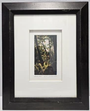 George Raab Signed & #23/70 'ENCHANTED' Etching Aquatint Watercolor Print