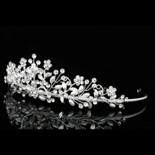Bridal Wedding Flower Vine Rhinestone Crystal Faux Pearls Crown Tiara V841