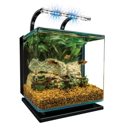 Tetra Marineland Contour 5 Gallon Glass Aquarium Kit with Rounded Corners, LED