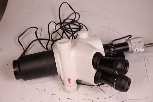 Corpo microscopio trinoculare stereo Leica S8APO S8AP0 con oculare + fotocamera CCD - Foto 8 di 10