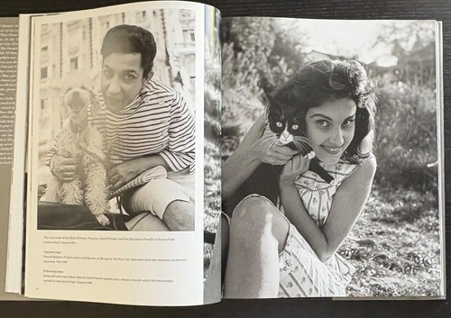 CELEBRITY PETS - EDWARD QUINN - 1ST ED. - 2014 - DJ - teNeues PUB. - LIKE NEW. - Foto 7 di 17