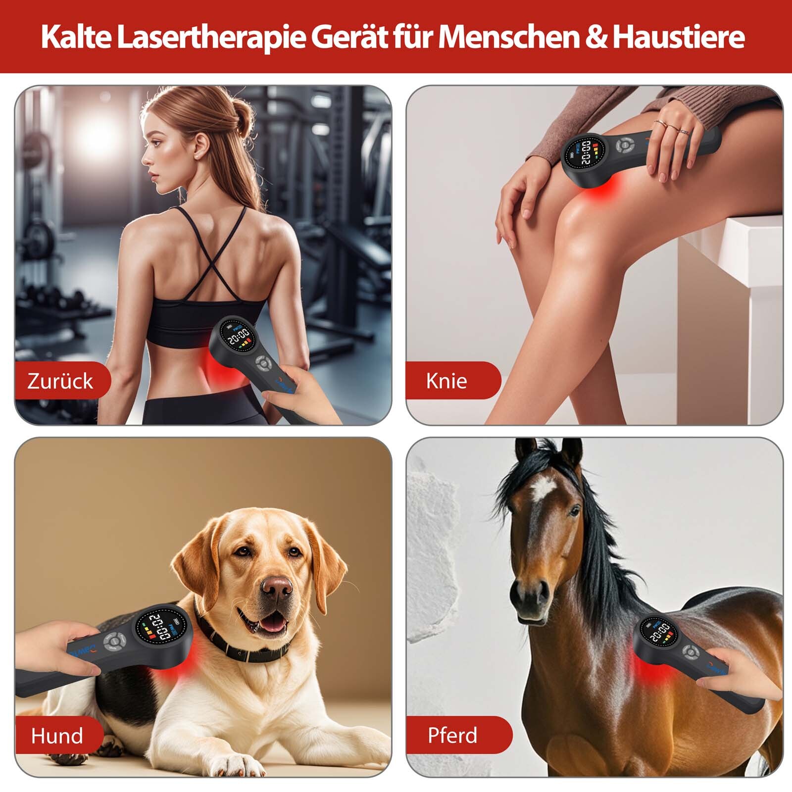 Bild 10 von 17