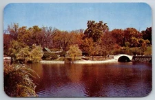 Vintage Postcard IL Peoria Glen Oak Park Lagon Chrome