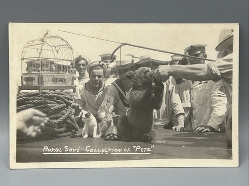 Bär Kaninchen Katze Vogel an Bord Royal Navy Sovereign Class Schlachtschiff 1921 RPPC