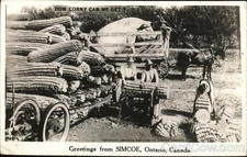 Simcoe, Canada Corny Get?, Ontario 1952 Exaggeration Hatchley Station RPPC