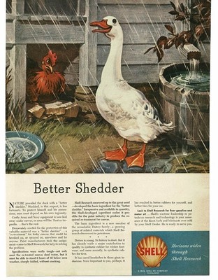 1945 Shell Oil Company Research Goose Chicken in rain Albert Staehle Print Ad
