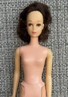 VINTAGE FRANCIE 1969 TNT BRUNETTE DOLL
