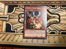 Droll & Lock Bird TAMA-EN047 1st Edition Rare LP