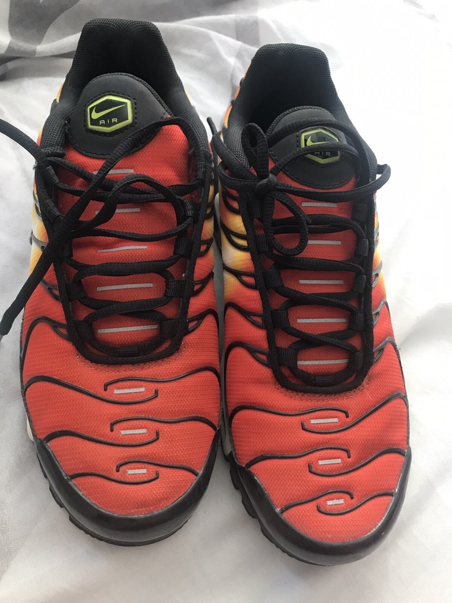tiger tns UK