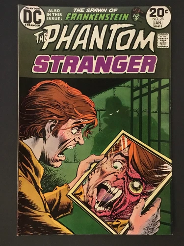 Phantom Stranger no. 28 (DC - 1974) see desc below for grading