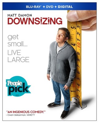 DOWNSIZING(BR+DV+DC)