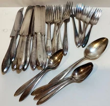 25 pieces Oneida Community Plate Flatware Silverware Set