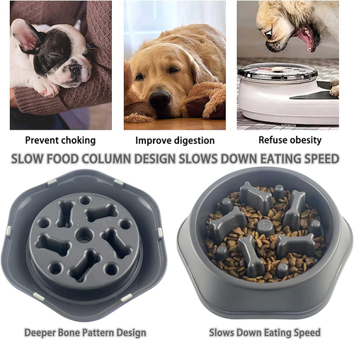 Slow Feeder Dog Bowl anti Gulping Healthy Eating Interactive Bloat Stop Fun - Bild 3 von 12