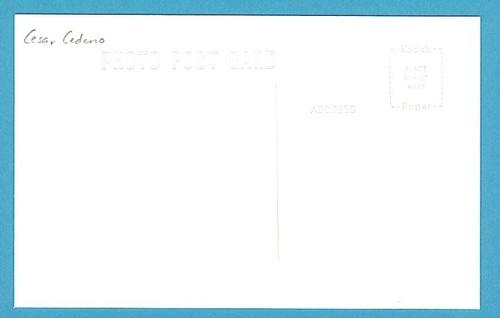 Cesar Cedeno Houston Astros Vintage Baseball Postcard PP00890 - Picture 2 of 2