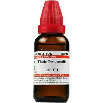 Dr Willmar Schwabe India Thuja Occidentalis Dilution 200 CH (30ml) - F/S |  eBay