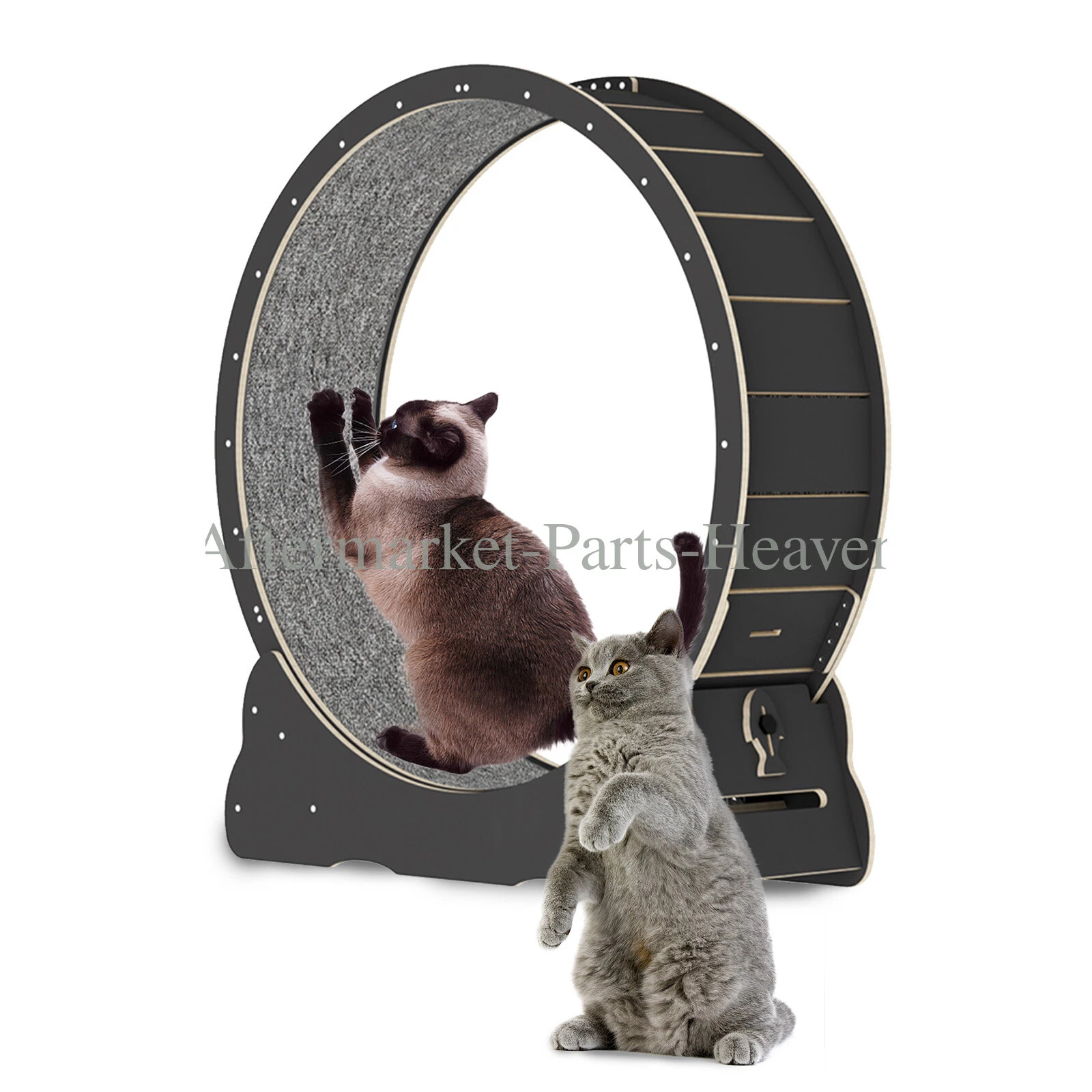 Black Cat Exercise Wheel Stable & Safe with Lock & Minimized Gapdesign