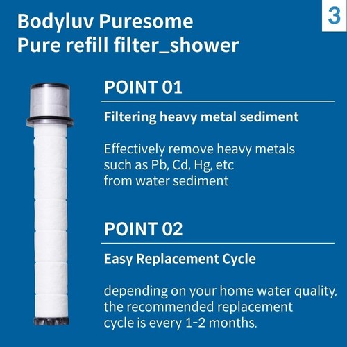 Bodyluv Puresome Shower Head with 1 Pack of 3 Filter Replacement Catridge - Picture 15 of 15